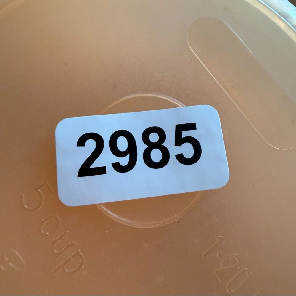 Vintage Tupperware canister‎